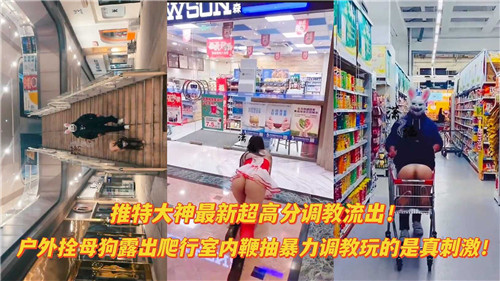 【超高分流出】推特大神重口调教：户外栓母狗爬行露出，室内暴力鞭抽母狗奴！